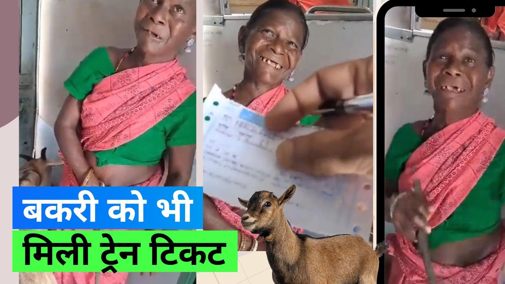 Bakri Train Ticket: ईमानदार अम्मा ने अपनी बकरी के लिए खरीदी ट्रेन टिकट 