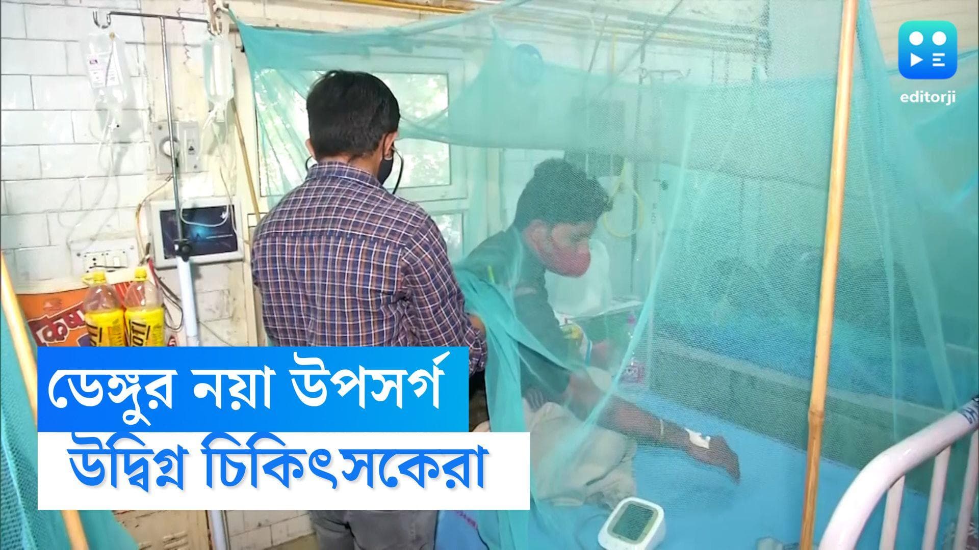 Dengue Situation: কোভিডের পর চেহারা বদলে আরও মারাত্মক ডেঙ্গি, বিভ্রান্ত চিকিৎসকেরা