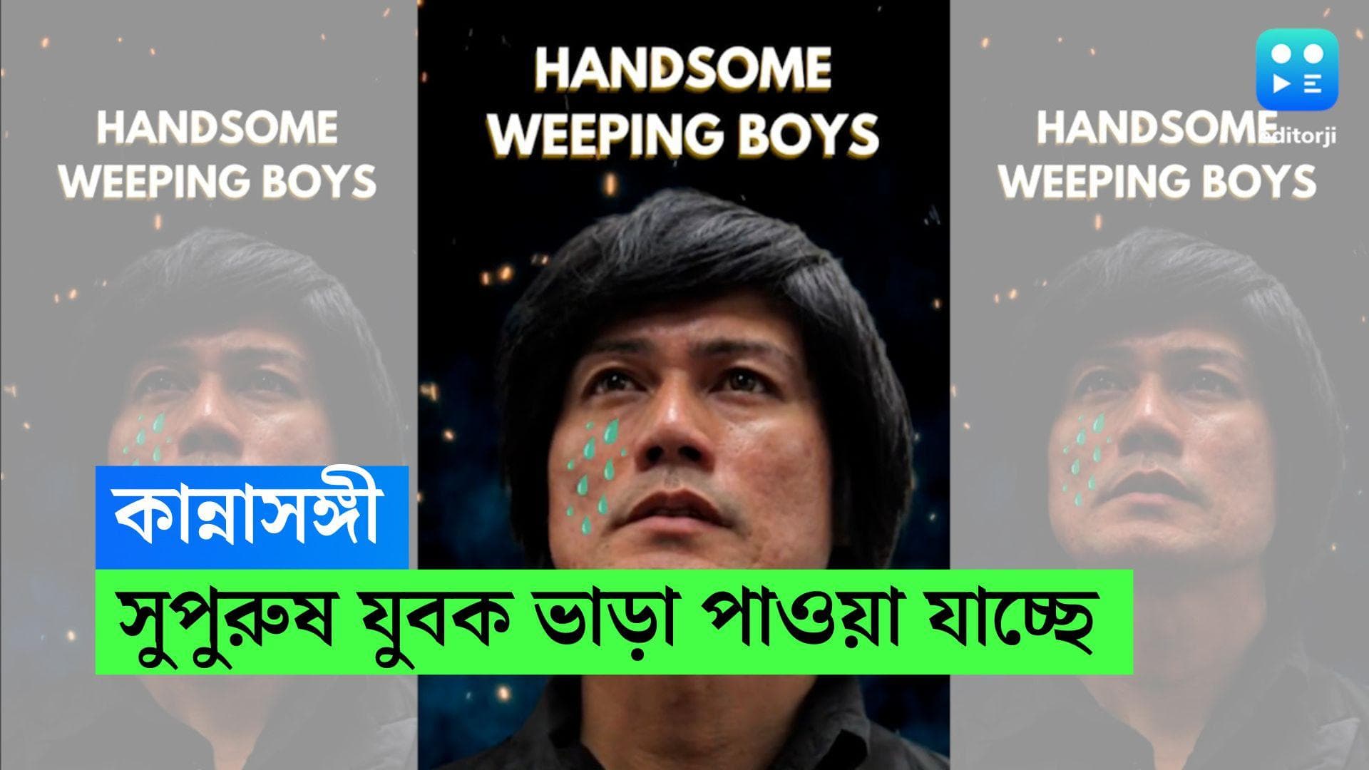 Japan Lifestyle: অফিসে কাজের চাপ? চোখের জল মোছাতে 'সুপুরুষ যুবক' ভাড়া করছেন জাপানি মহিলারা