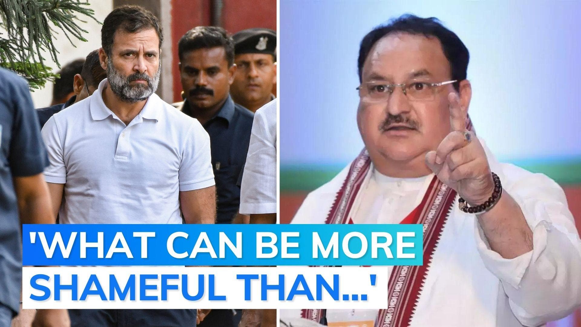 'Rahul Gandhi now permanent part of...': BJP chief on 'democracy under attack' row