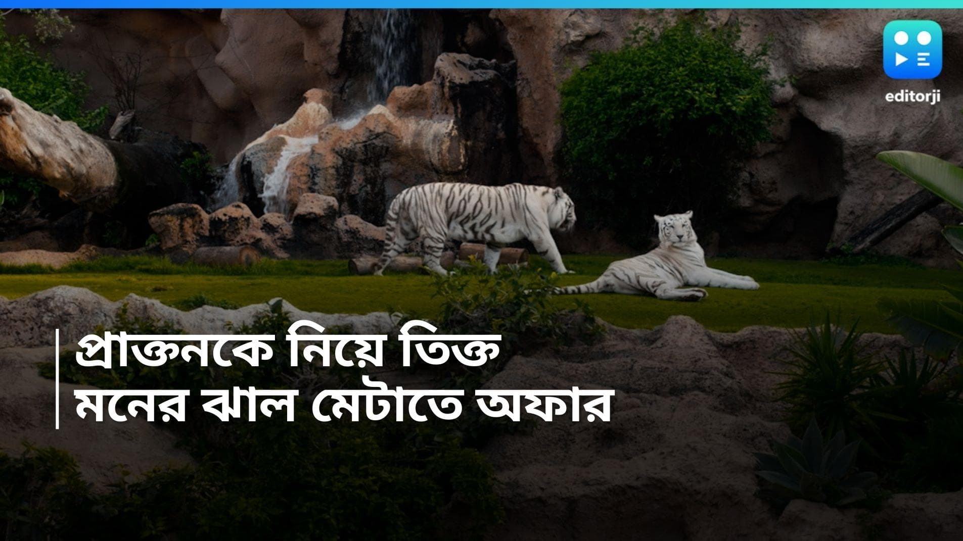 Valetine's Day: প্রাক্তনকে নিয়ে তিক্ত অনুভূতি? মনের ঝাল মেটানোর এত তো সুযোগ! চিড়িয়াখানায় দারুণ অফার!