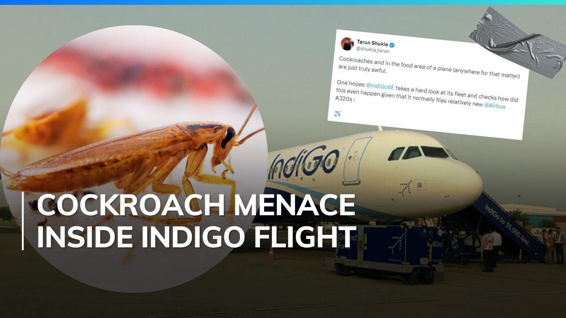 IndiGo passenger finds cockroaches in pantry area, airline reacts