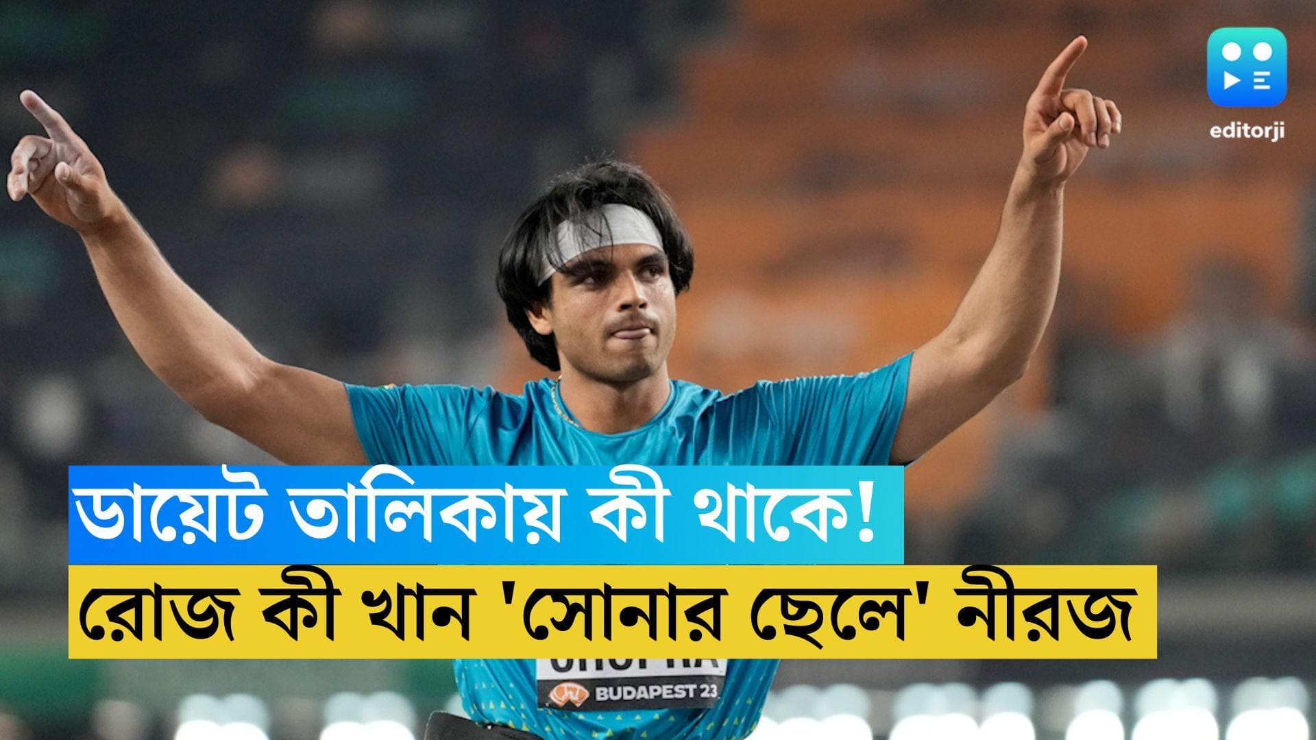 Neeraj Chopra Diet: বারবার দেশের হয়ে সোনা জয়, নীরজের ডায়েট চার্টে কী কী থাকে, জেনে নিন