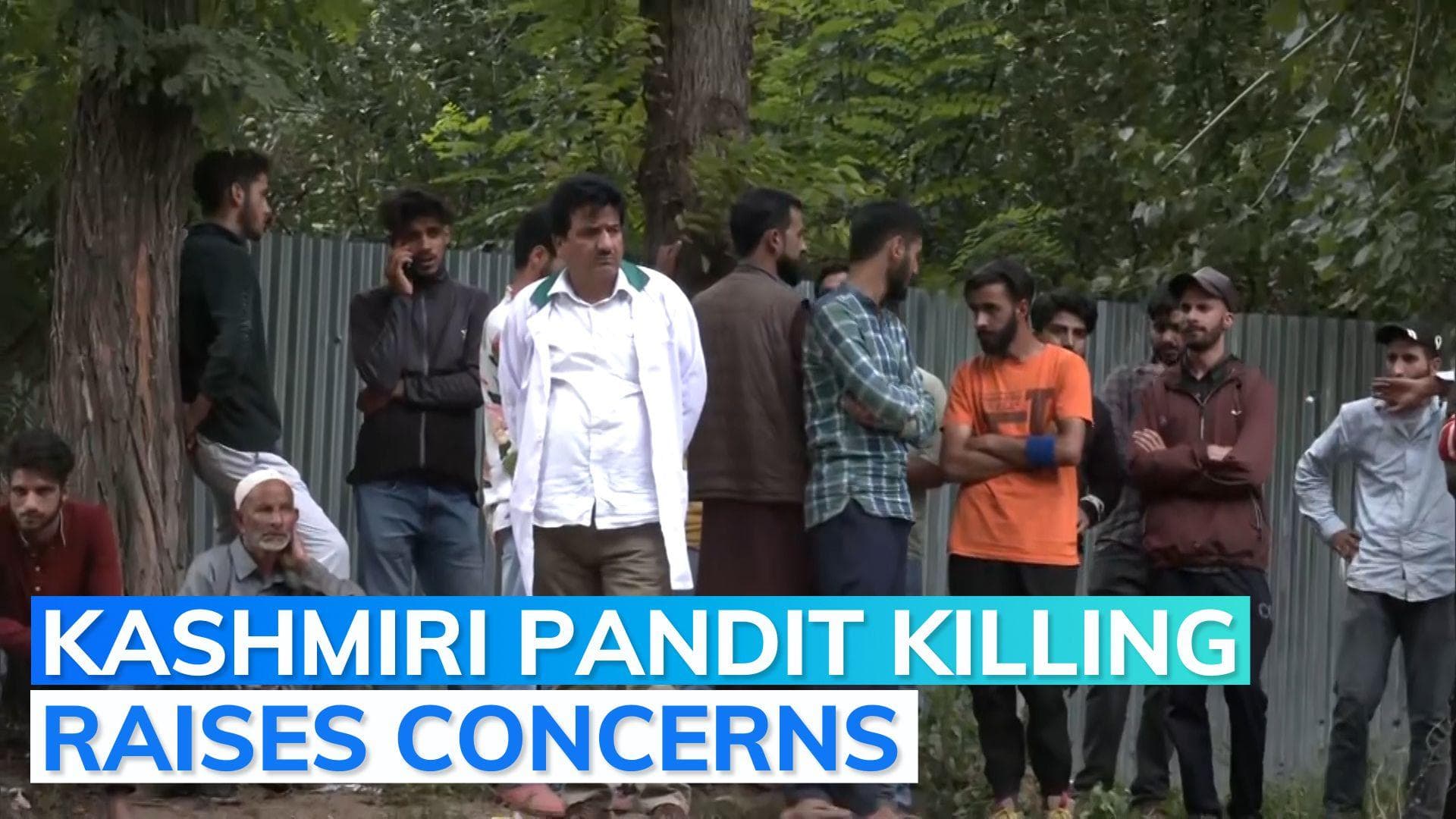 'Move to Jammu or Delhi': Kashmiri Pandit Sangharsh Samiti urges Kashmiri Pandits