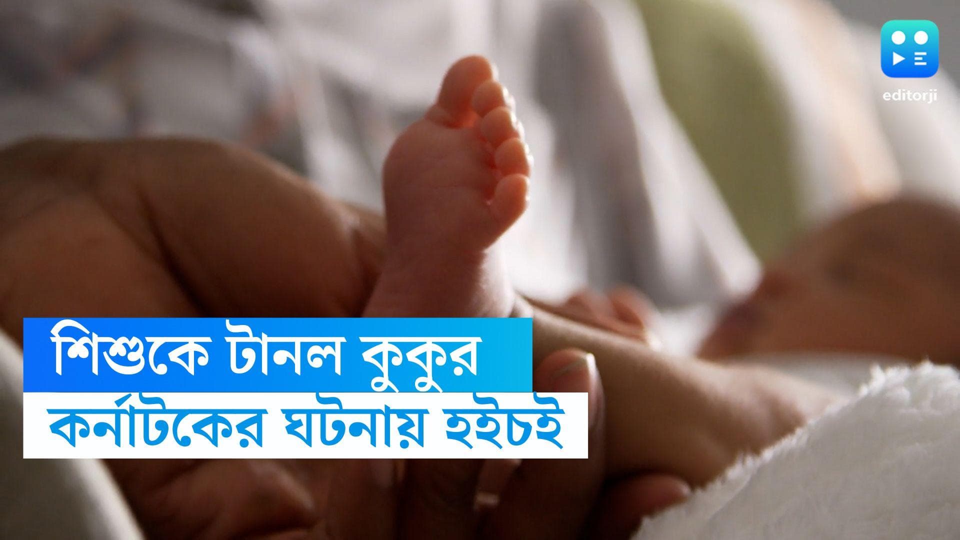 Stray dog dragged newborn: সরকারি হাসপাতালে সদ্যজাতকে মুখে করে টেনে নিয়ে গেল কুকুর  