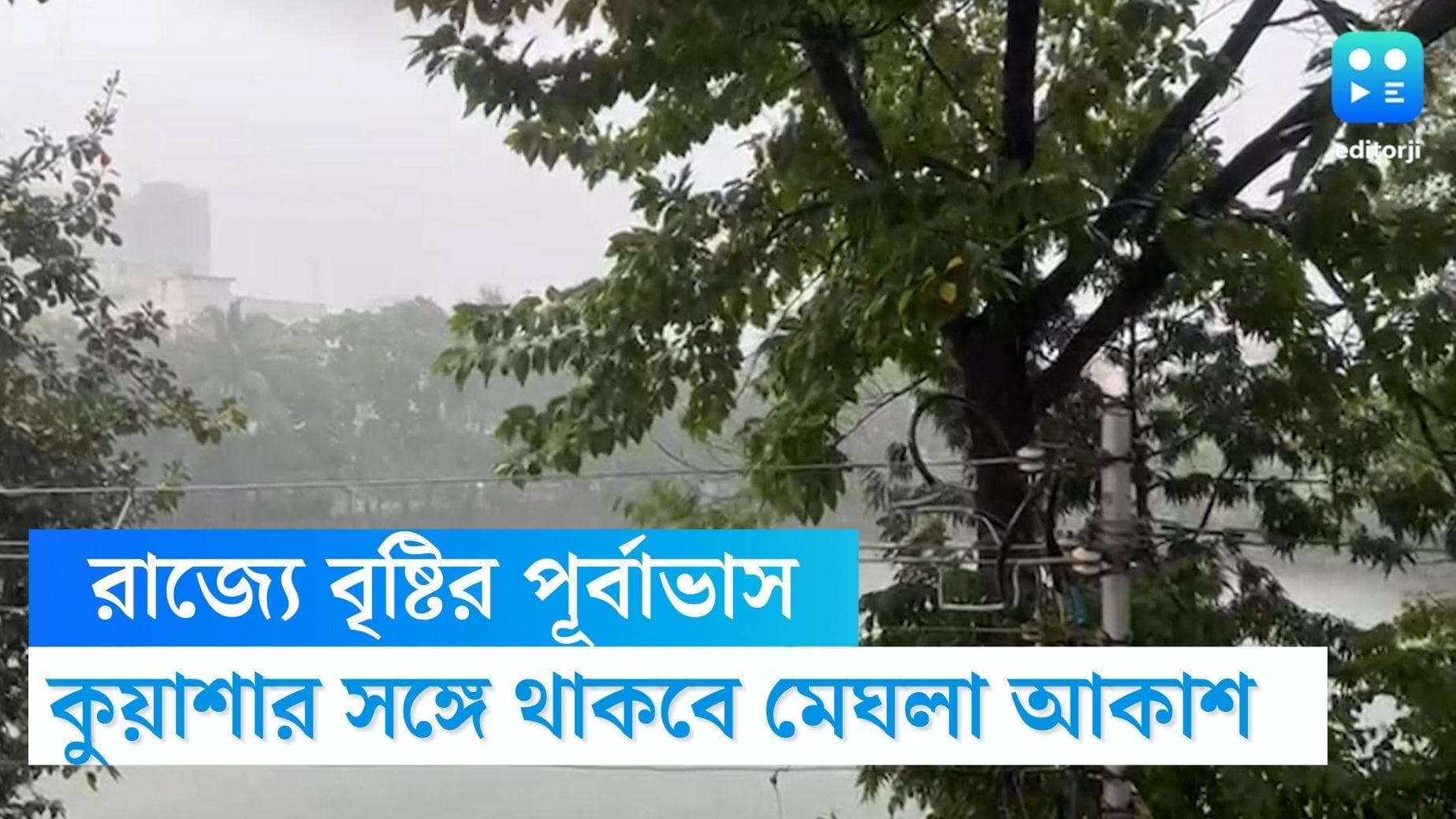 West Bengal Weather Update : বৃষ্টি নিয়ে রাজ্যে ফিরছে শীত, পূর্বাভাস আলিপুর আবহাওয়া দফতরের