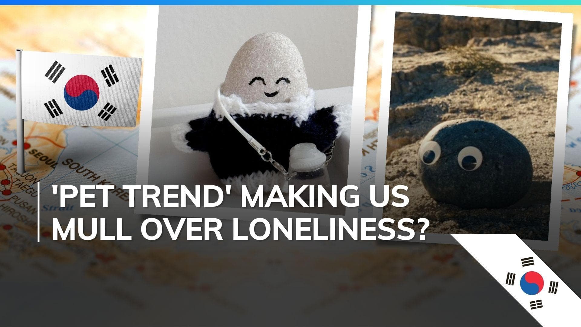 Feeling lonely? South Koreans are keeping stones as pets to deal with living alone. Deets here