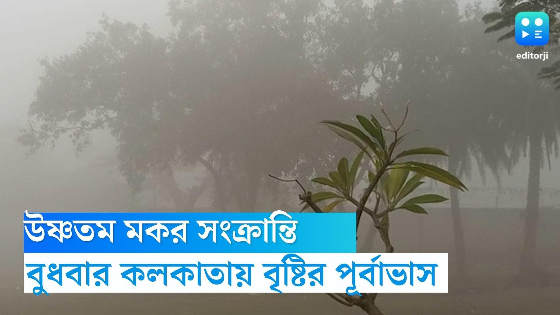 Kolkata Weather Update: মকর সংক্রান্তিতে 'গরম', কুয়াশার চাদরে ঢাকা তিলোত্তমা, ঝেঁপে বৃষ্টির পূর্বাভাস