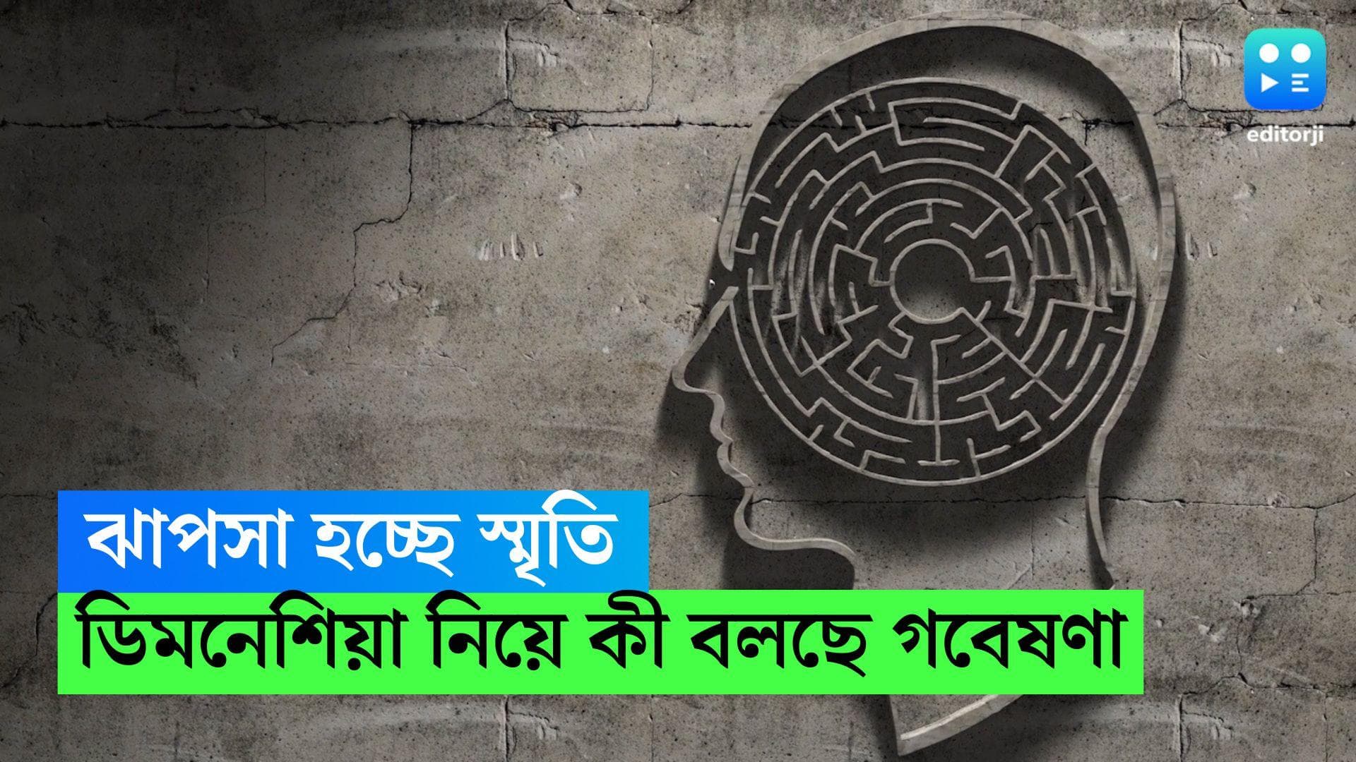 Dementia: একাকিত্ব গ্রাস করেছে, লোক সমাজ থেকে বহু যোজন দূরে? বয়সকালে হতে পারে ডিমেনশিয়া, বলছে গবেষণা 