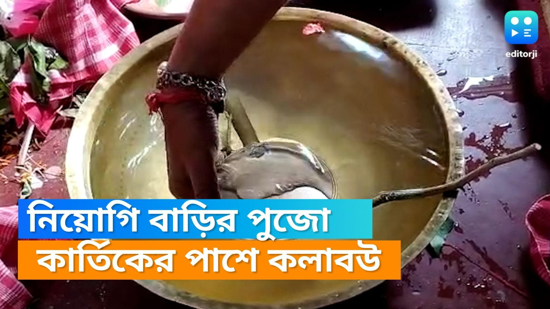 Jalpaiguri Neogy Family's dashami puja: জলপাইগুড়ির ২১৪ বছরের পুরনো পুজো, কলা বউ বসেন কার্তিকের পাশে