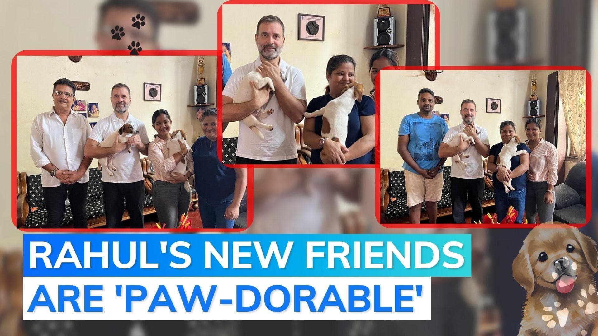Rahul Gandhi makes new friends in Goa. Guess 'woof'!