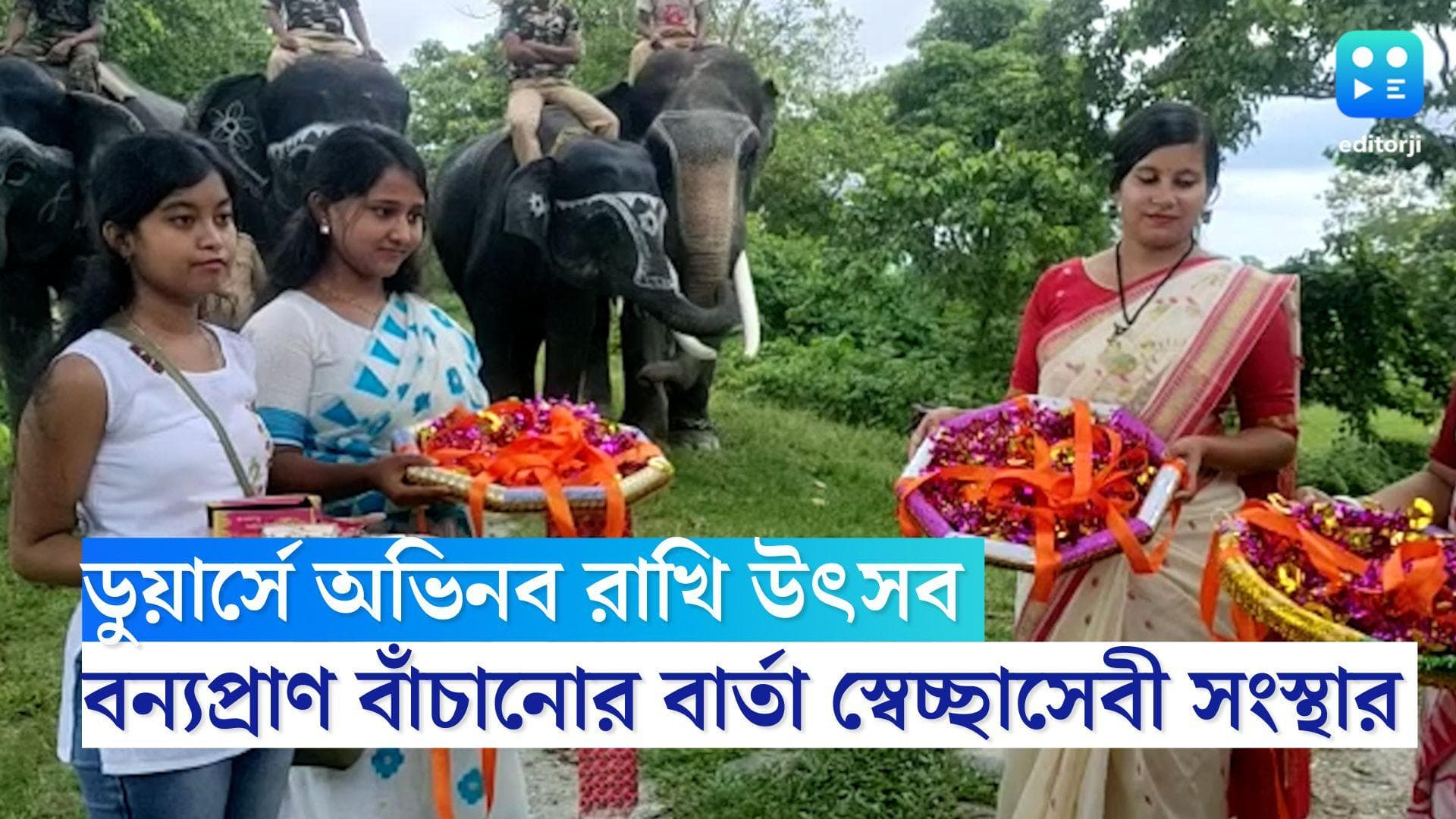 Dooars Rakhi Utsav: রাখি উৎসবে ডুয়ার্সে অভিনব উদ্যোগ, হাতিদের রাখি পরিয়ে বন্যপ্রাণ বাঁচানোর বার্তা
