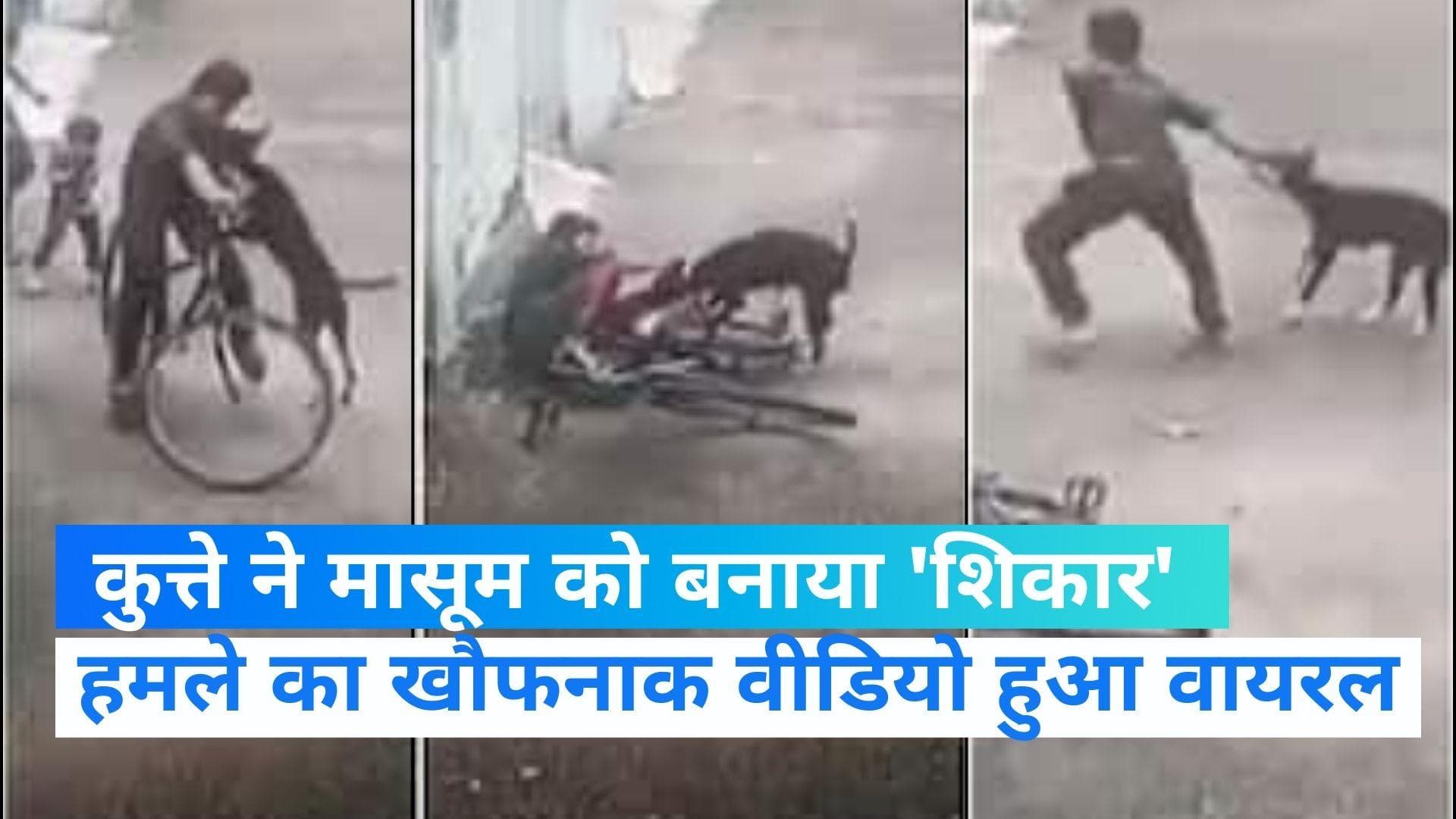 Viral Video: सड़क पर खेल रहे बच्चे पर कुत्ते ने किया हमला, वीडियो देख हैरान हो जाएंगे आप