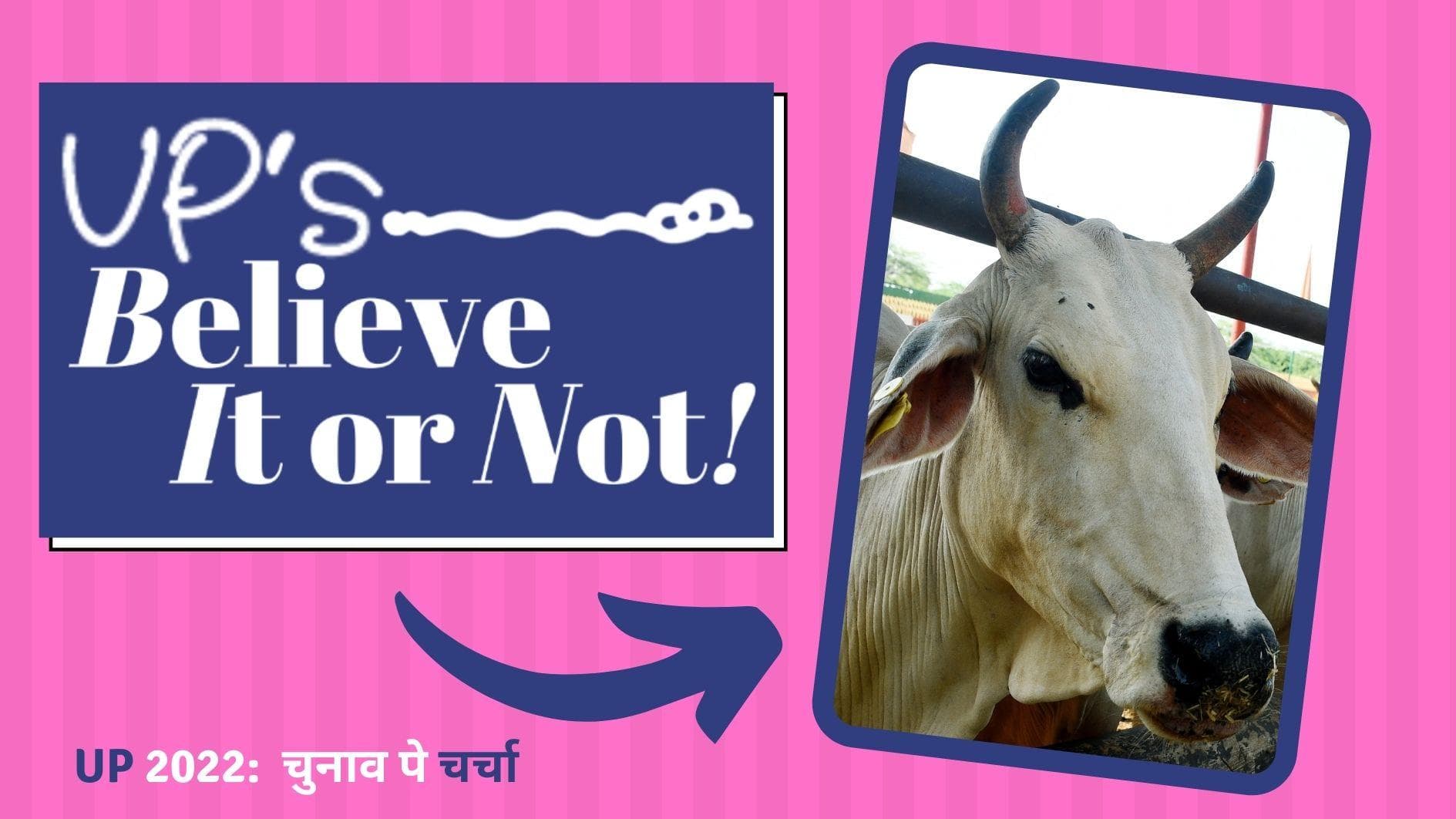 UP Election 2022: Chunaav Pe Charcha | UP’s Believe it or not: Cow ambulances to roam UP soon!  