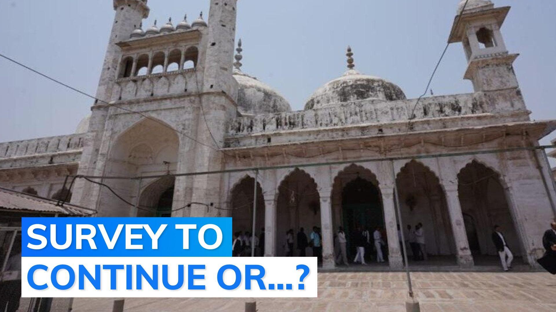 Gyanvapi survey: SC to hear mosque side's plea challenging HC order