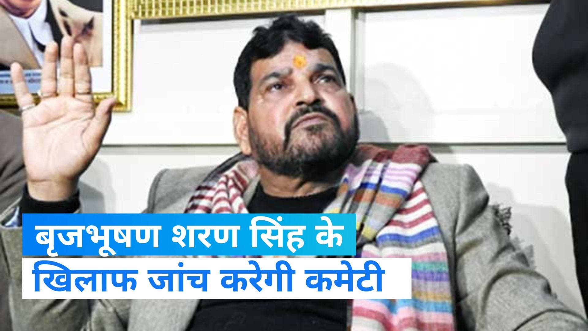 Wrestlers Protest: IOA का बड़ा फैसला,  WFI चीफ बृजभूषण शरण सिंह के खिलाफ जांच करेगी कमेटी