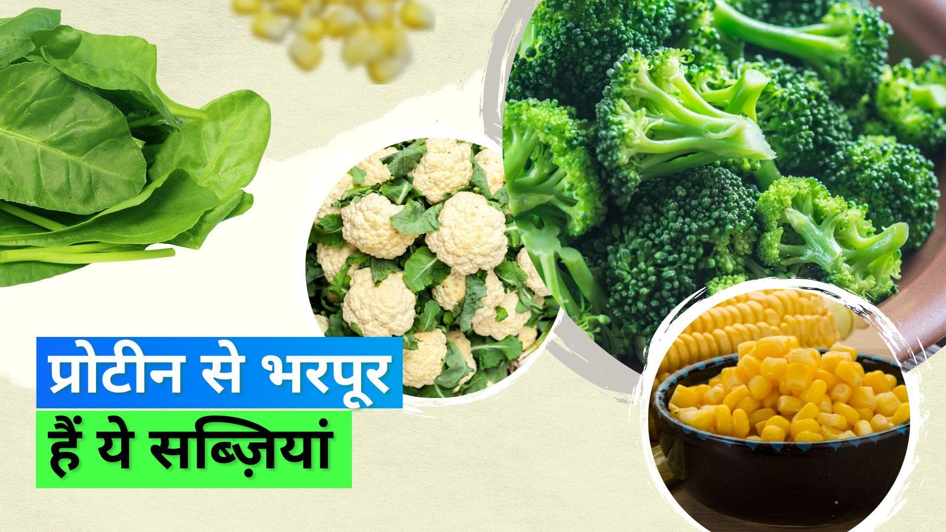 Protein Diet: शाकाहारी हैं तो अपनी डेली डायट में इस तरह करें प्रोटीन को शामिल