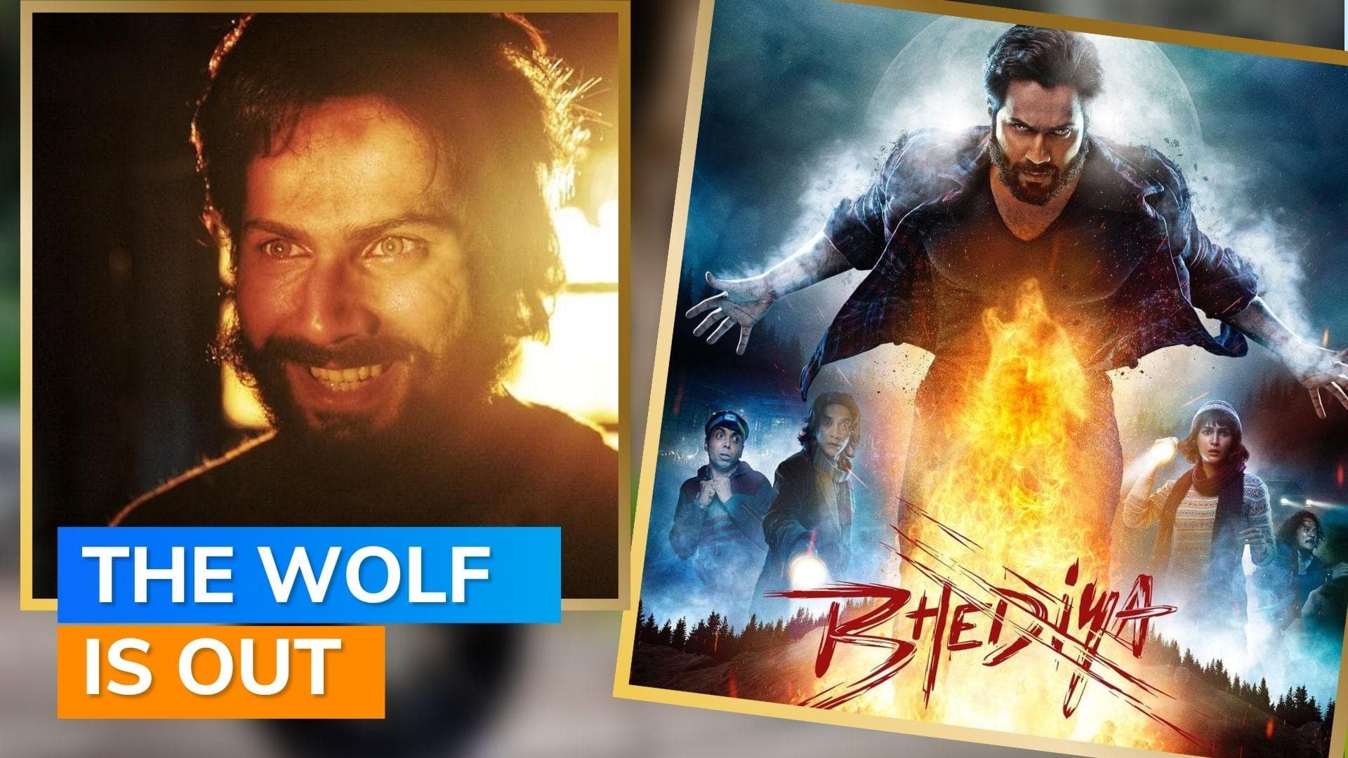 'Bhediya' screening: Varun Dhawan, Kriti Sanon, Janhvi Kapoor and others celebs attend