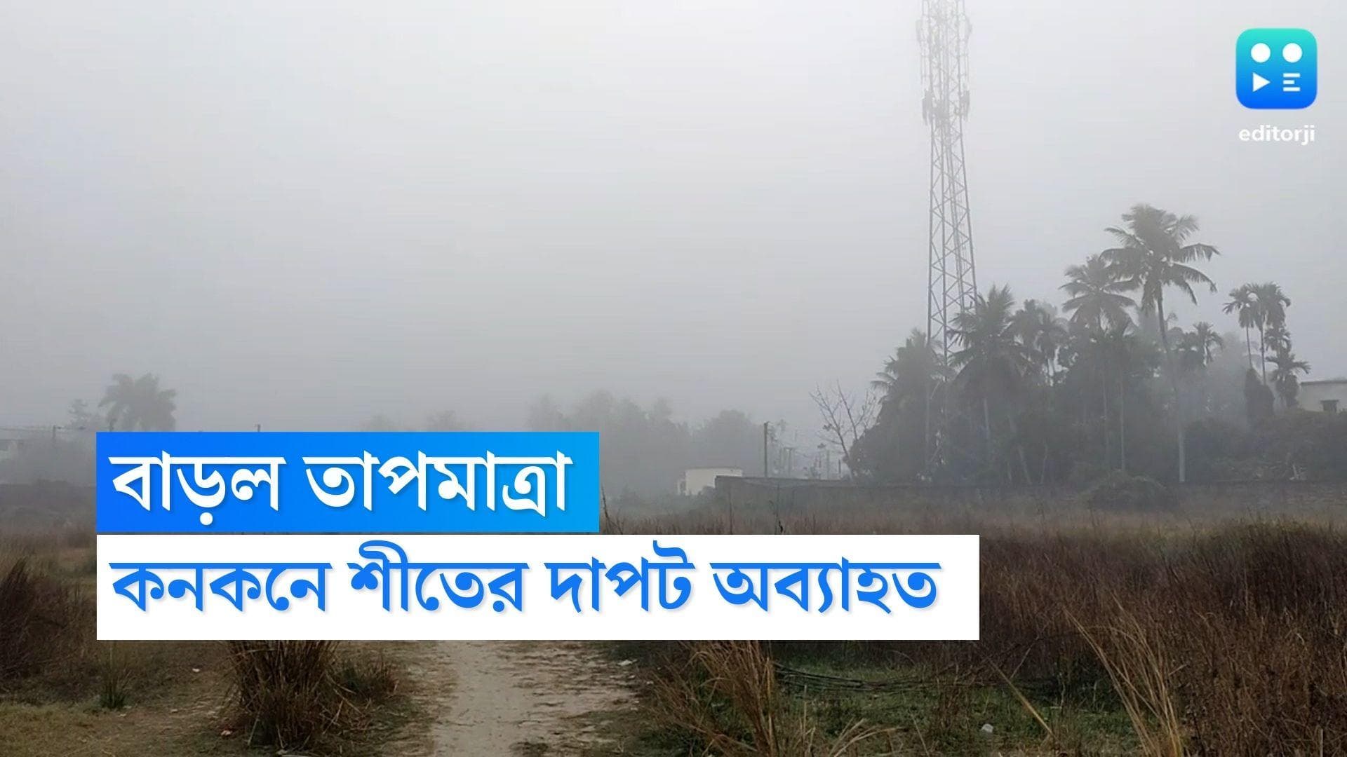 West Bengal Weather Update : সপ্তাহের প্রথমে শহরের তাপমাত্রা বাড়লেও কনকনে শীতের দাপট অব্যাহত