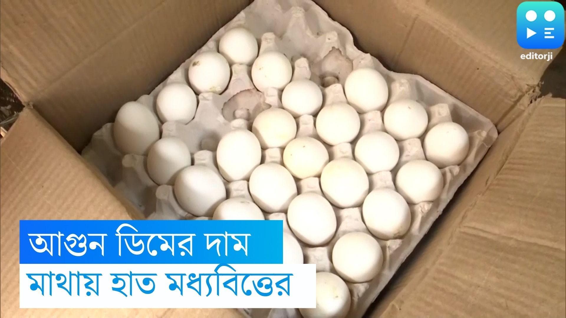 Egg Price Hike: একলাফে দাম বাড়ল ডিমের, নতুন দাম কত জেনে নিন