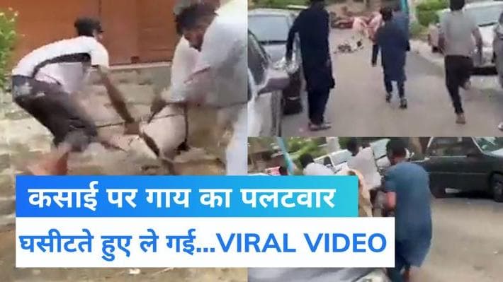 Pakistan: कुर्बानी से बचने के लिए गाय ने कसाई पर किया हमला, दूर तक घसीटते ले गई...Video Viral