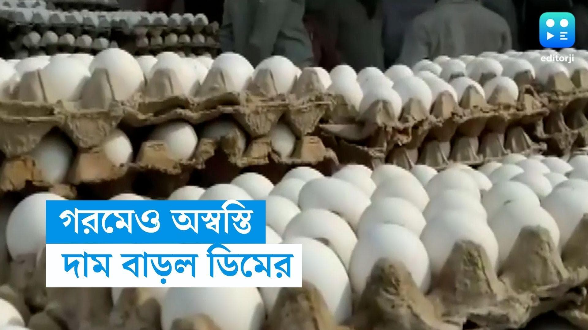 Egg Price Hike: গরমেও অস্বস্তি, মে মাসেও দাম বাড়ল ডিমের