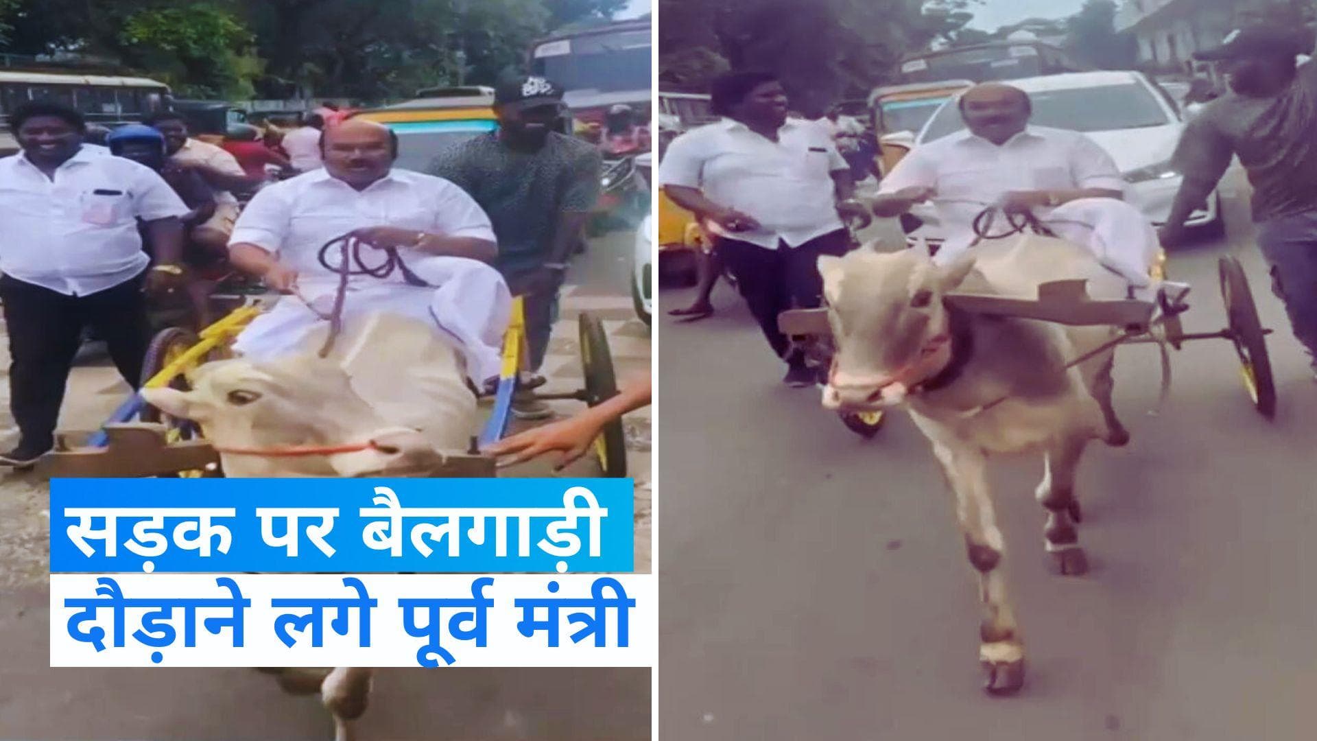 Viral Video: तमिलनाडु की सड़कों पर बैलगाड़ी दौड़ाने लगे पूर्व मंत्री डी जयकुमार, वजह जान हो जाएंगे हैरान