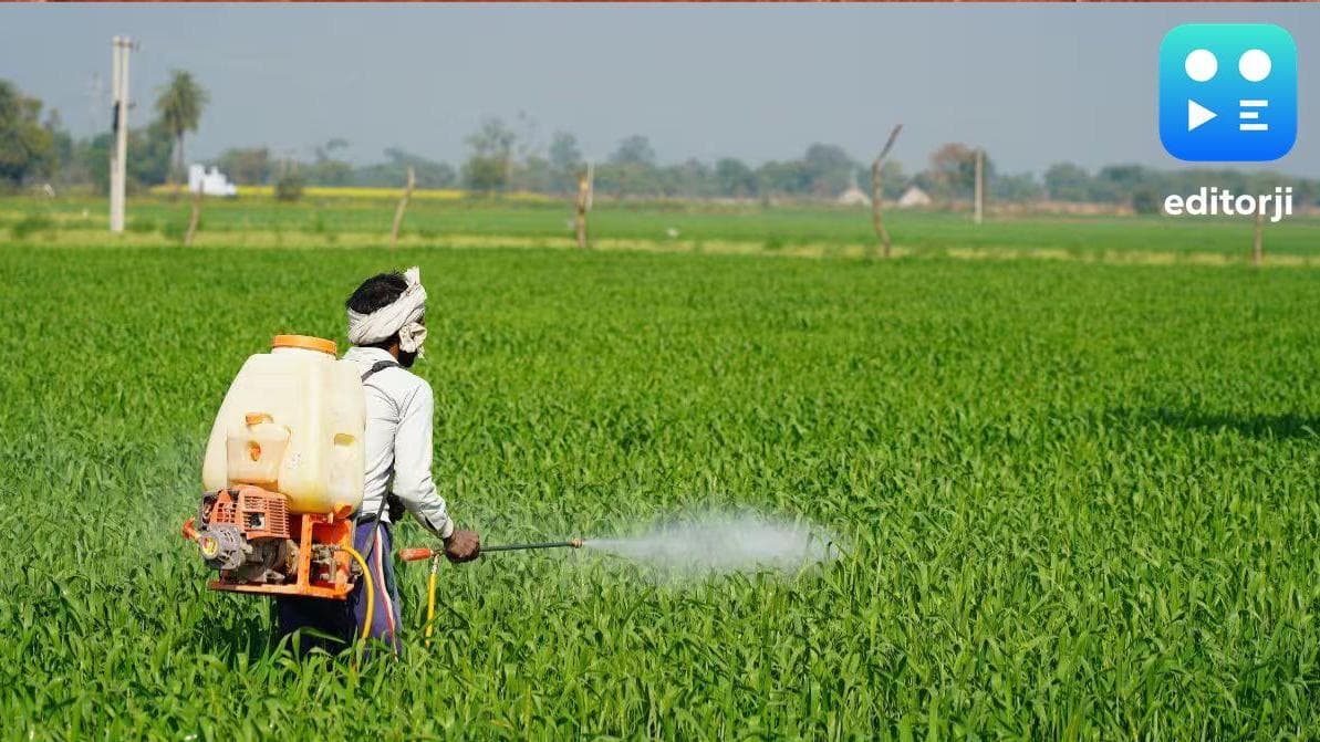 Insecticides India Ltd reported an 84.70% rise in net profit for Q4 FY 2024-25