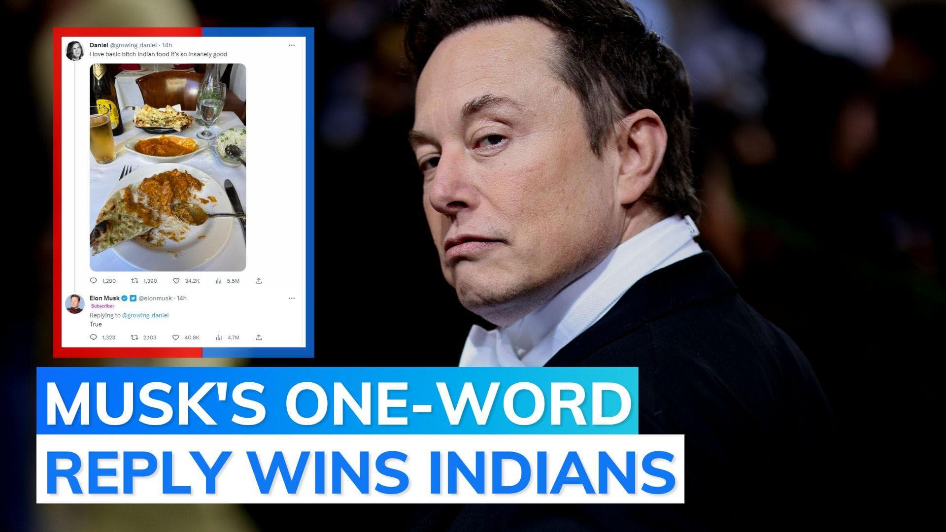 Twitter user posts about Indian food, Musk's reply earns him dinner invites
