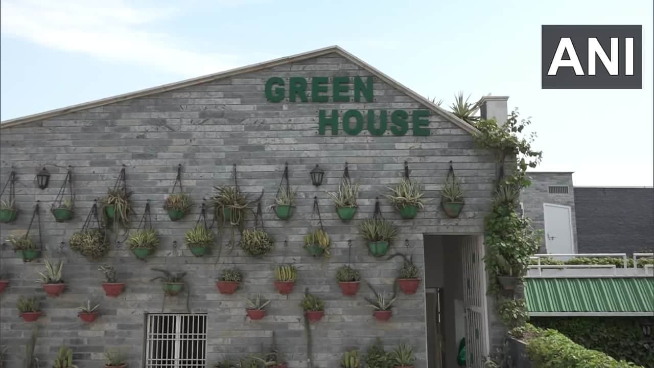Uttar Pradesh: आगरा में रिटायर्ड बैंकर ने बनाया अनोखा ग्रीन हाउस Uttar Pradesh: आगरा में रिटायर्ड बैंकर ने बनाया अनोखा ग्रीन हाउस
