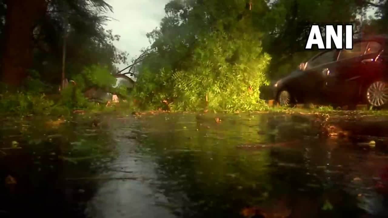 दिल्ली में सुबह-सुबह झमाझम बारिश
दिल्ली में सुबह-सुबह झमाझम बारिश