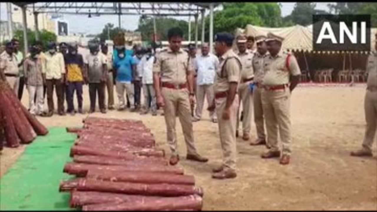 अवैध रूप से ले जा रहे 1.2 करोड़ की चंदन की लकड़ी बरामद अवैध रूप से ले जा रहे 1.2 करोड़ की चंदन की लकड़ी बरामद